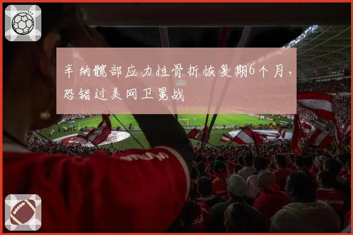 辛纳髋部应力性骨折恢复期6个月，恐错过美网卫冕战